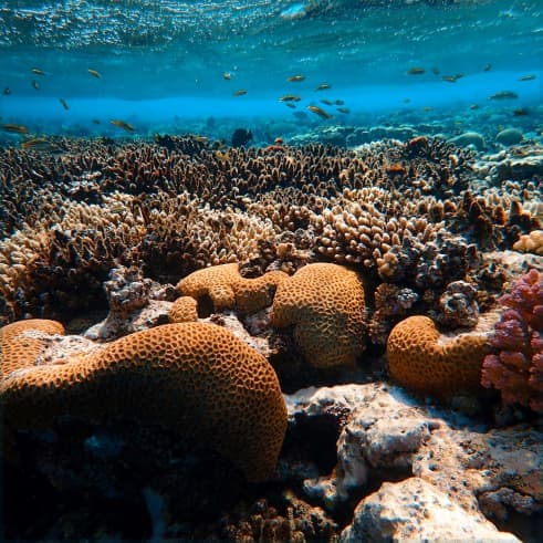oceaterra